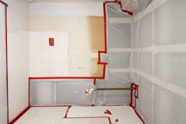 Best Commercial Mold Inspection  in Winnsboro, TX