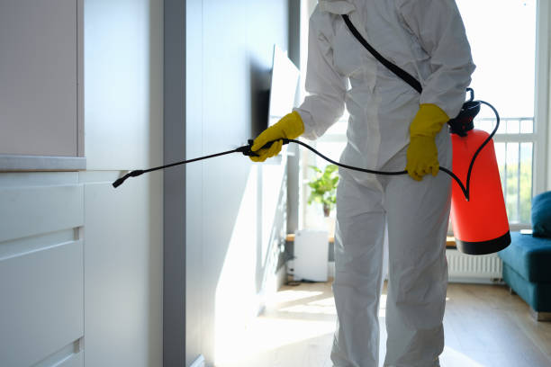 Biohazard Mold Removal in Winnsboro, TX