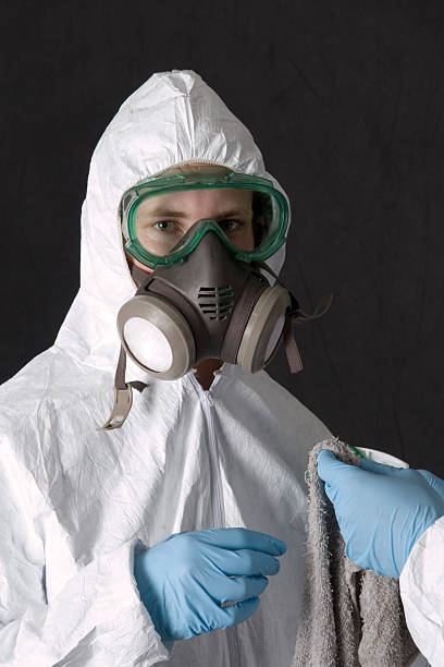 Best Mold Odor Removal Services  in Winnsboro, TX